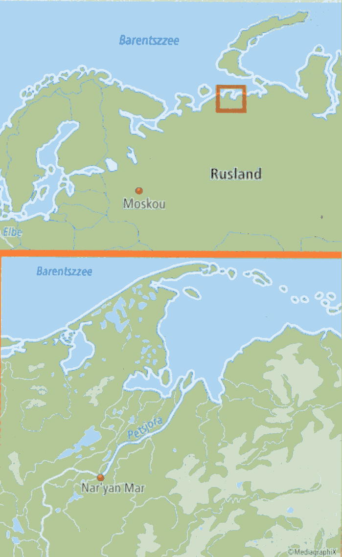 Het wintergebied van de kleine zwaan